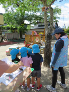 ���y���݉�